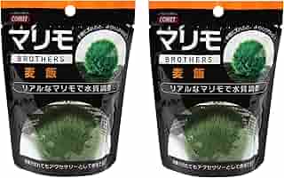 マリモ様　専 楽天市場】コメット マリモブラザーズ 麦飯マリモ : charm 楽天
